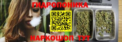 хмурый Малгобек