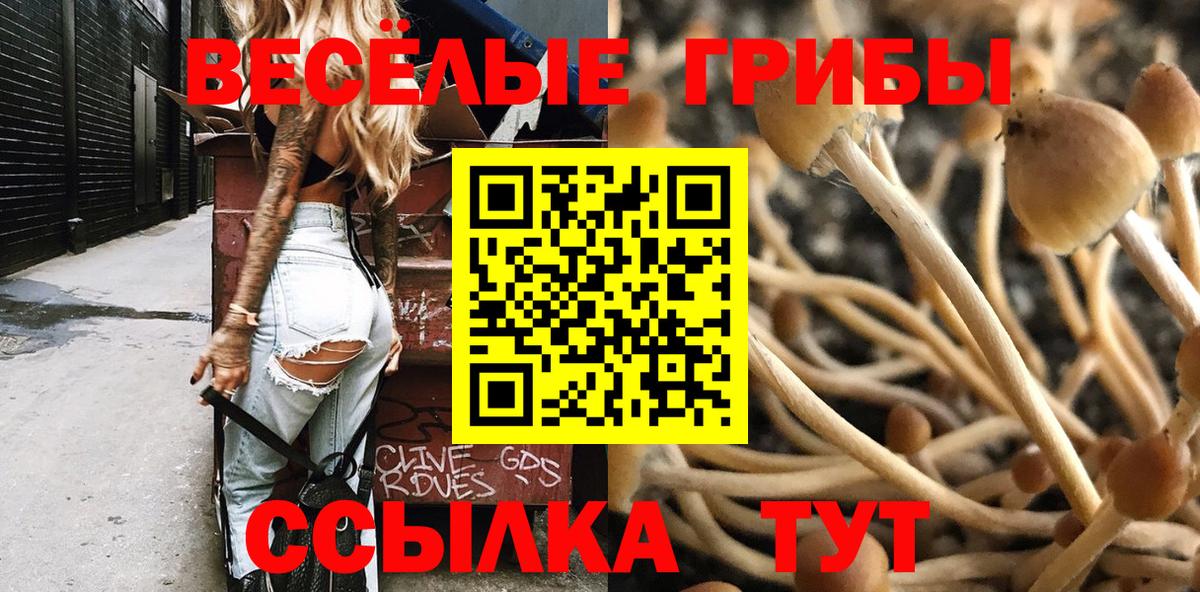 Псилоцибиновые грибы мухоморы  Галлюциногенные грибы мухоморы  Долгопрудный  Вход с VPN 
